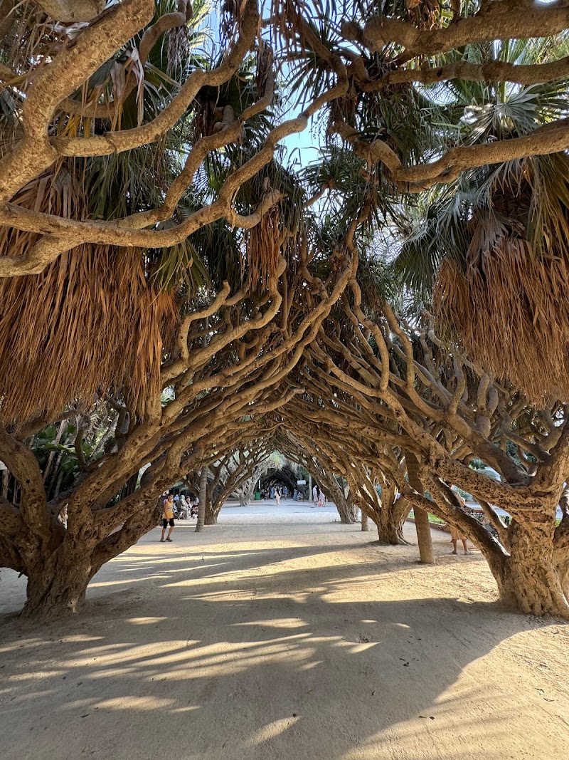 حديقة الحامة 4