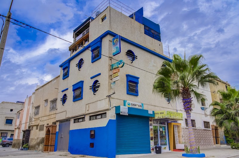 بيت ركوب الأمواج ديناصور أنزا