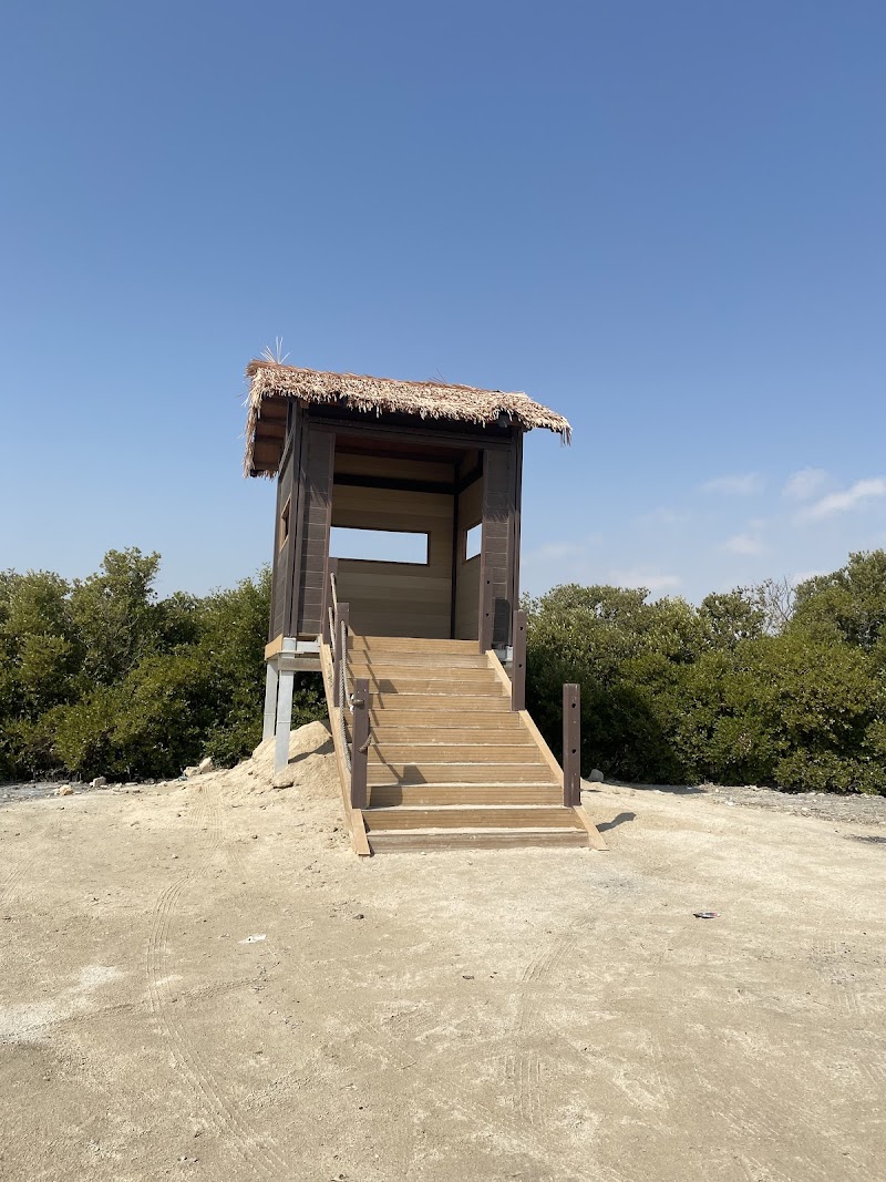 شاطئ غابة المنغروف في الذخيرة