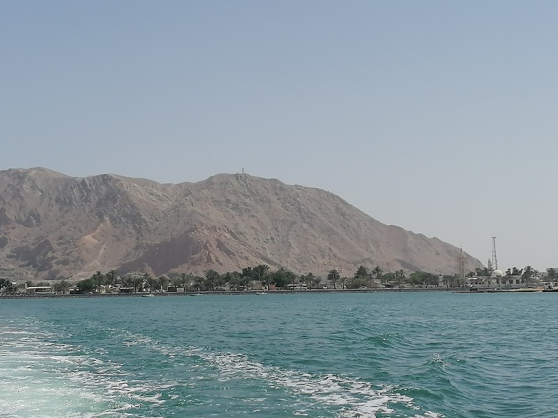 لآلئ السويدي 4