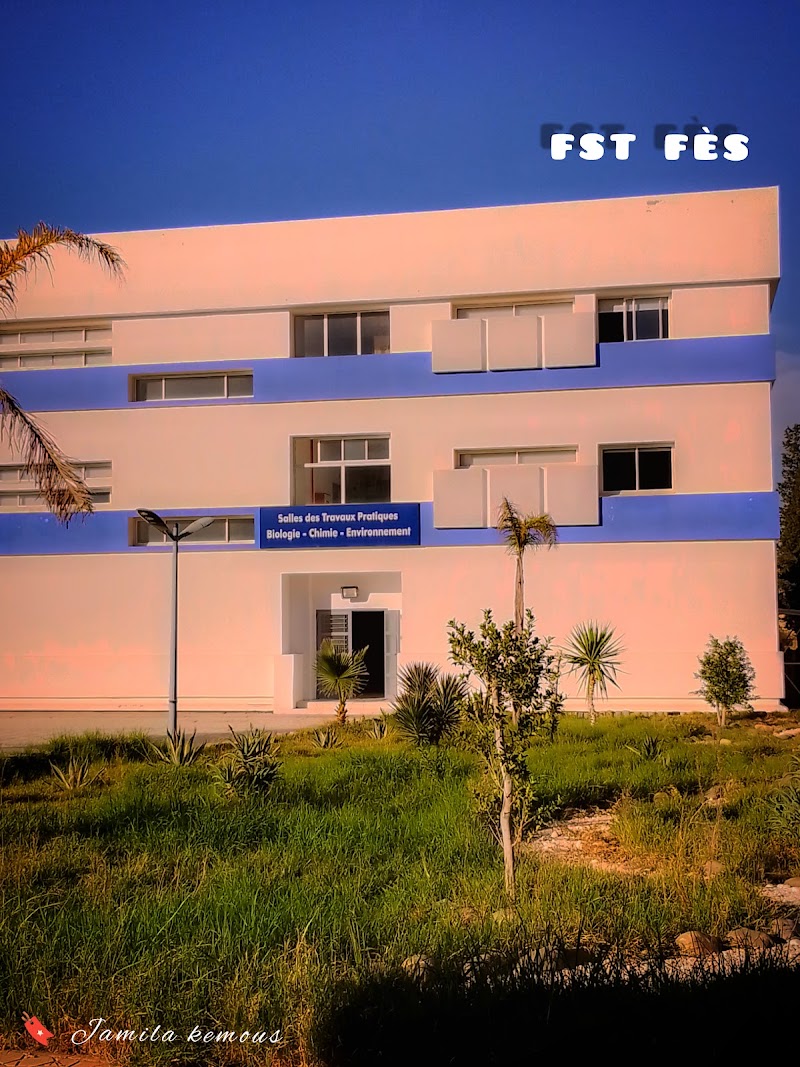 كلية العلوم و التقنيات فاس 2