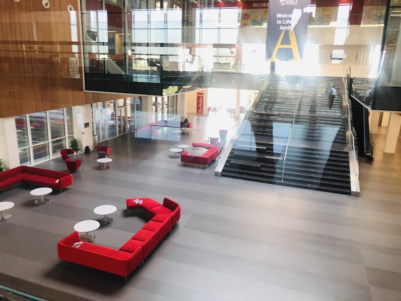 جامعة اميتي - حرم دبي 4