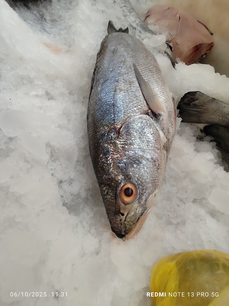 احمد حلاوه للاسماك الطازجه 2