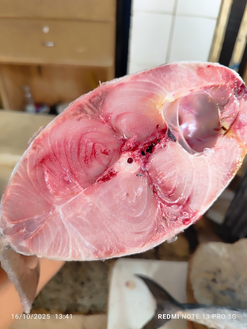 احمد حلاوه للاسماك الطازجه 3