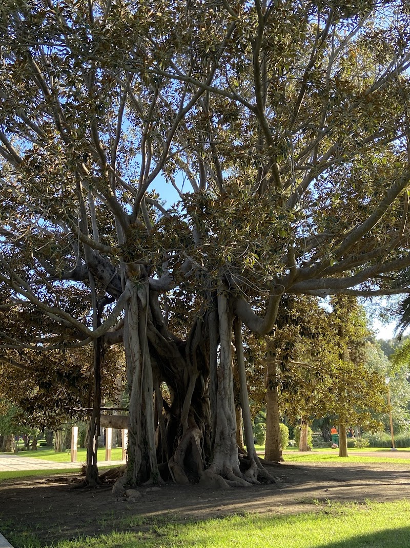 ڤيلا هاريس 3