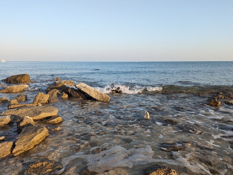 شاطئ السالمية