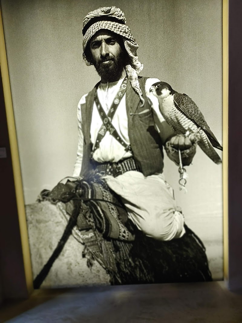 قلعة الجاهلي 3