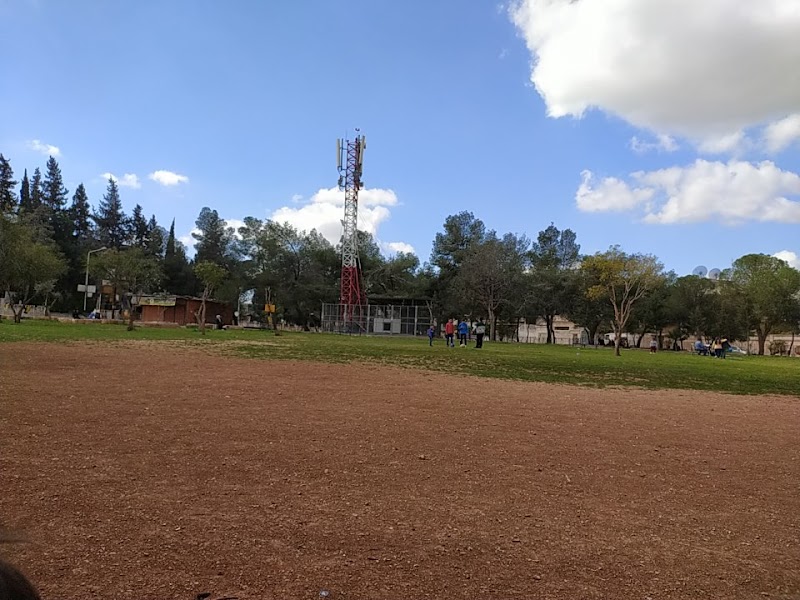 حديقة طب الاسنان