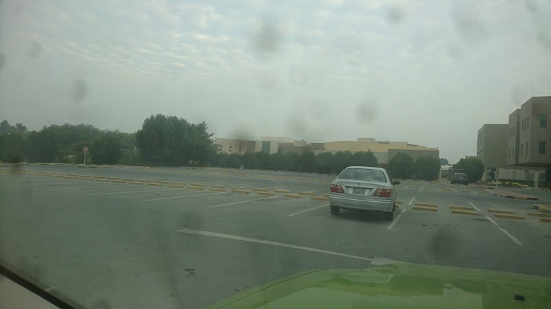 كلية الحقوق 4