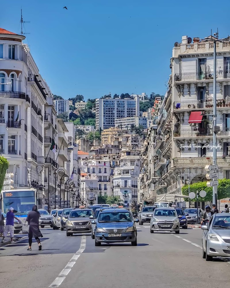 CPA الإدارة العامة 3