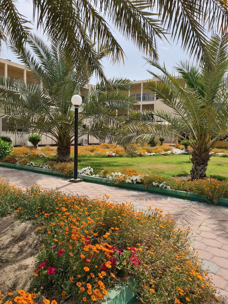 كلية العمارة