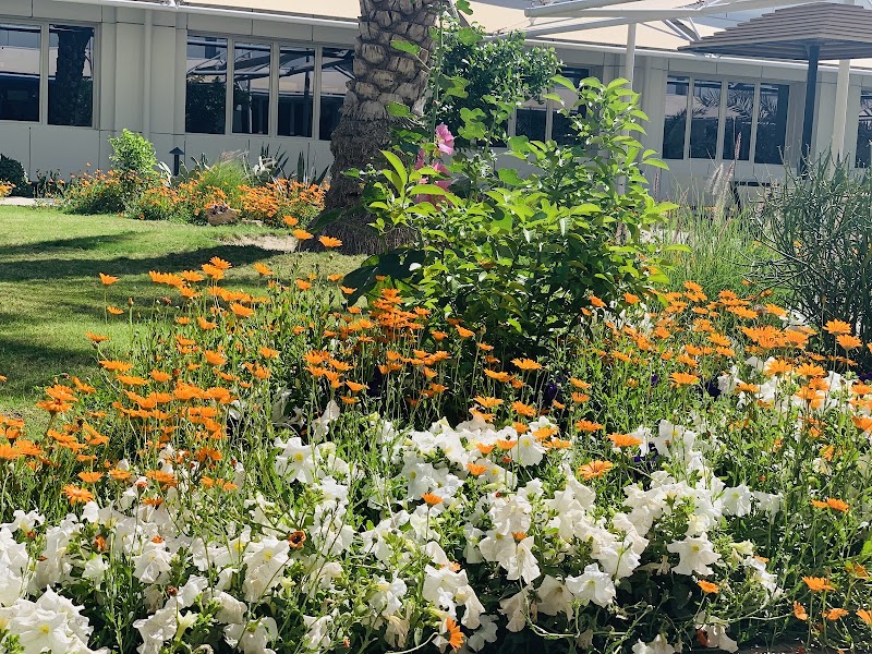 كلية العمارة 4