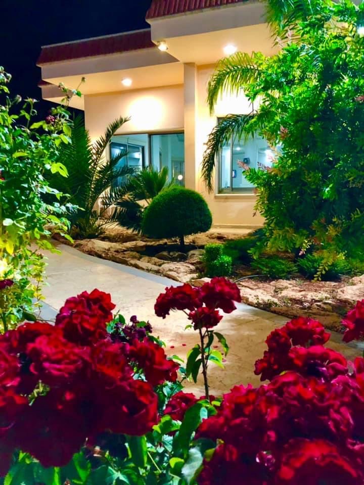 كافيه هاواي 3