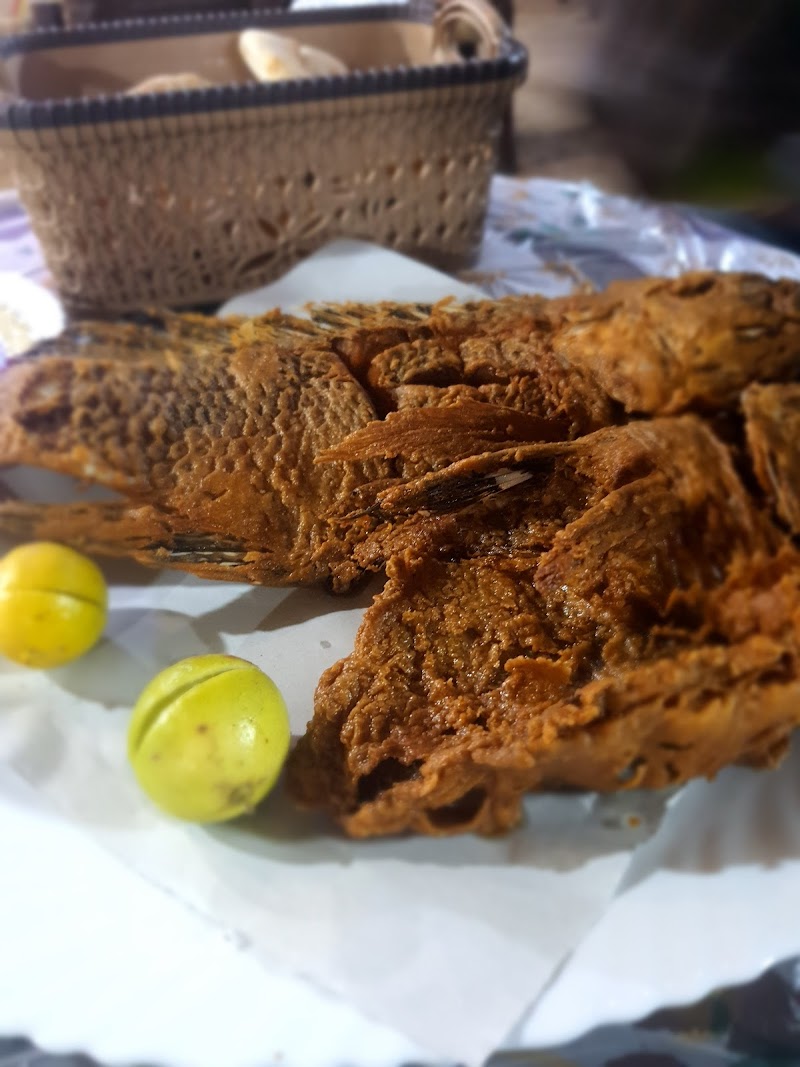 اسماك الخيمة 2