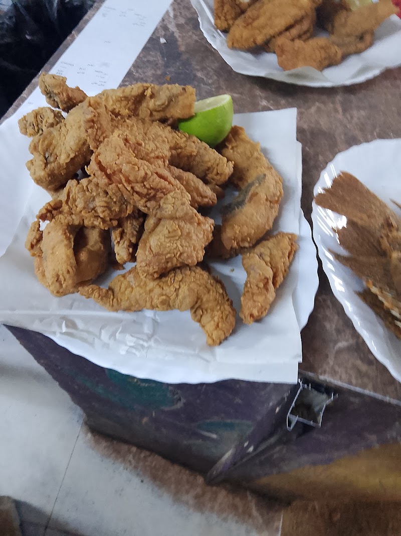 اسماك الخيمة 3