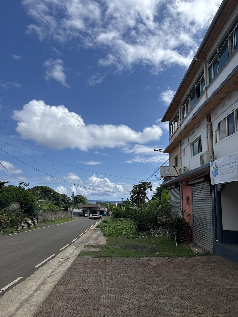 موتيل فارادل