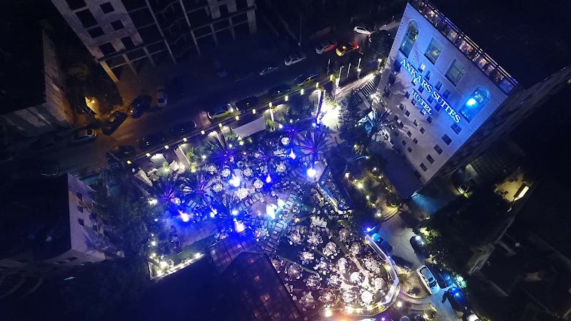 أجنحة أنكار 8