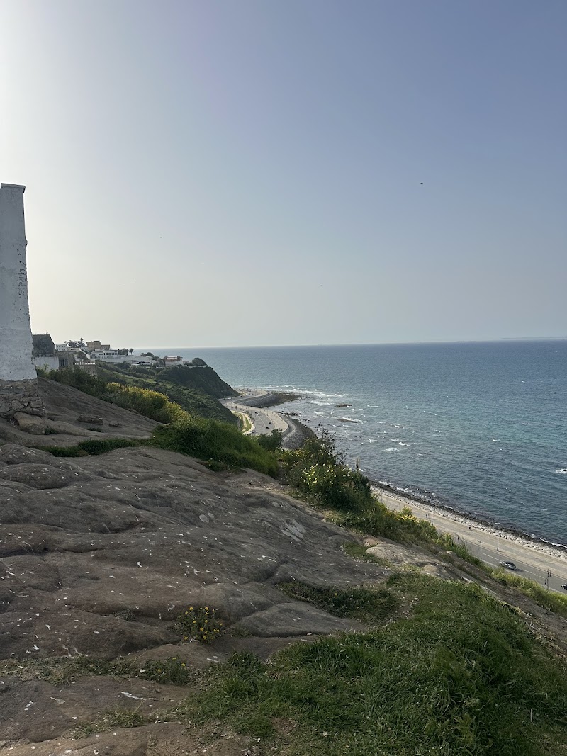 حديقة هافا 4