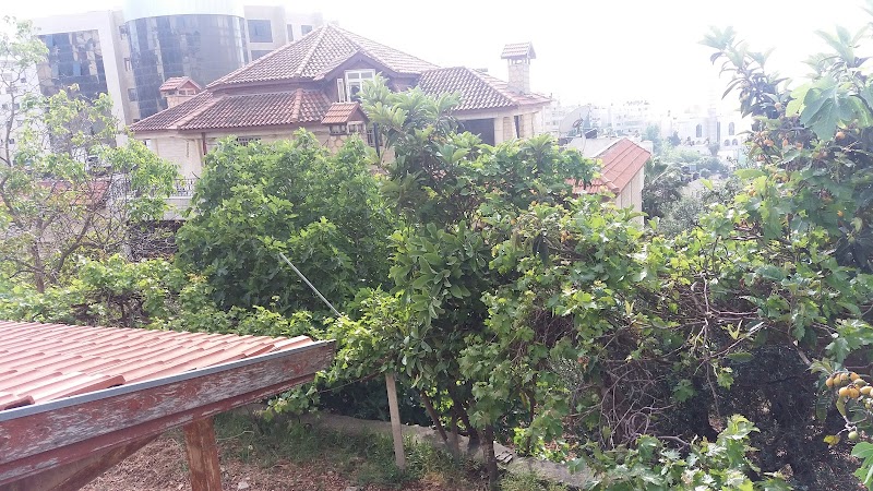 نزل حبيبي رام الله 9