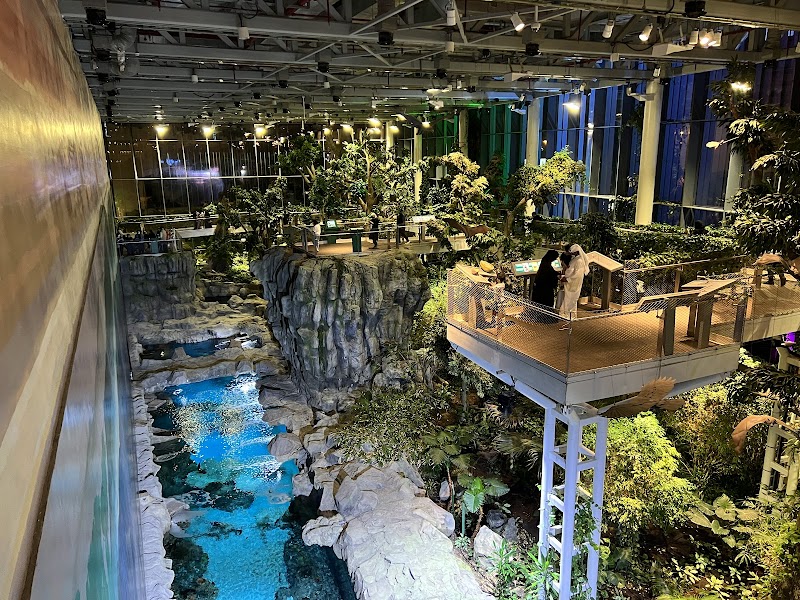 مركز الشيخ عبدالله السالم الثقافي 2