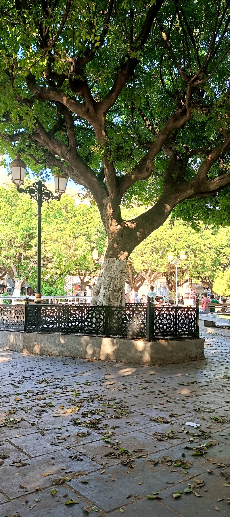 ساحة جورج إسحاق (ألكسي لومبير سابقا) 2