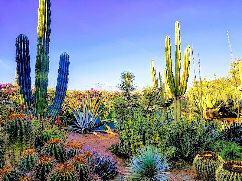 أنيما (حديقة أندريه هيلر) 4