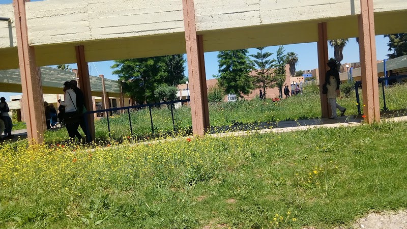 رئاسة جامعة مولاي إسماعيل