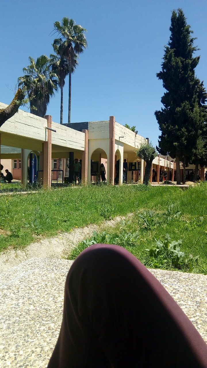 رئاسة جامعة مولاي إسماعيل 2