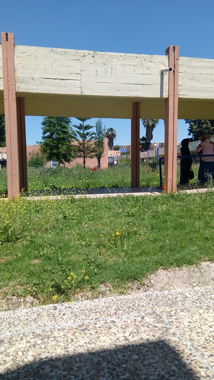 رئاسة جامعة مولاي إسماعيل 3