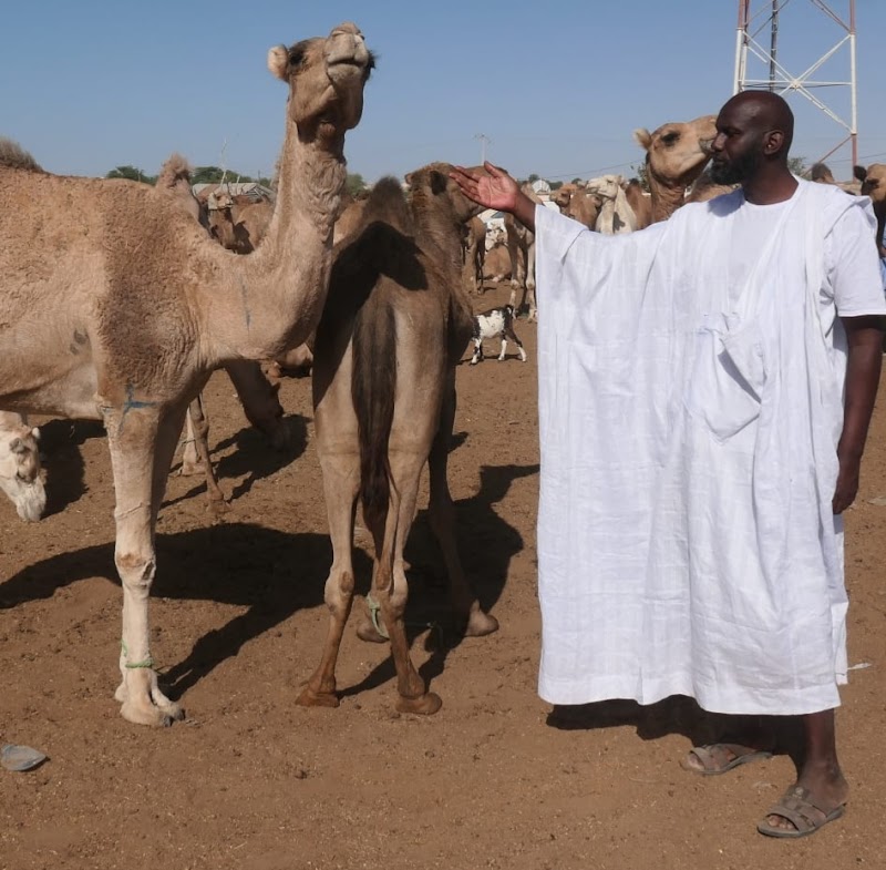 بيت ضيافة ترانزيت