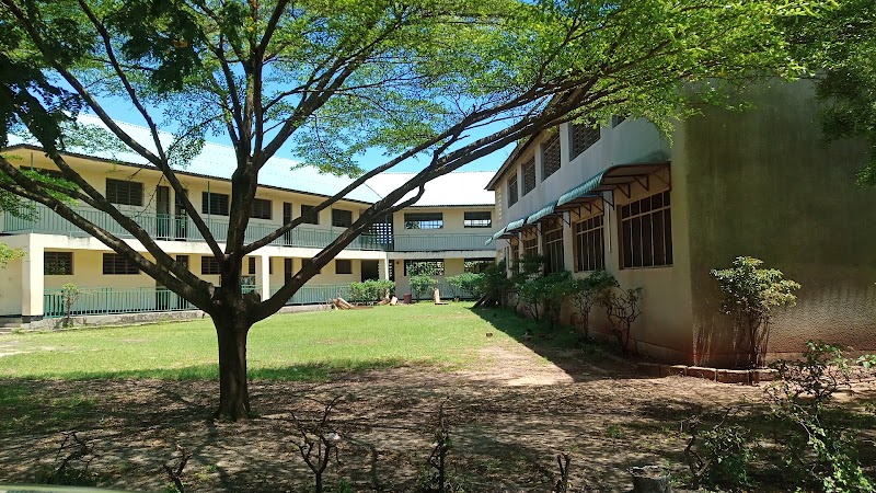 جامعة باجاموي