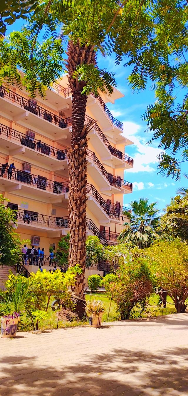 جامعة النصر 2