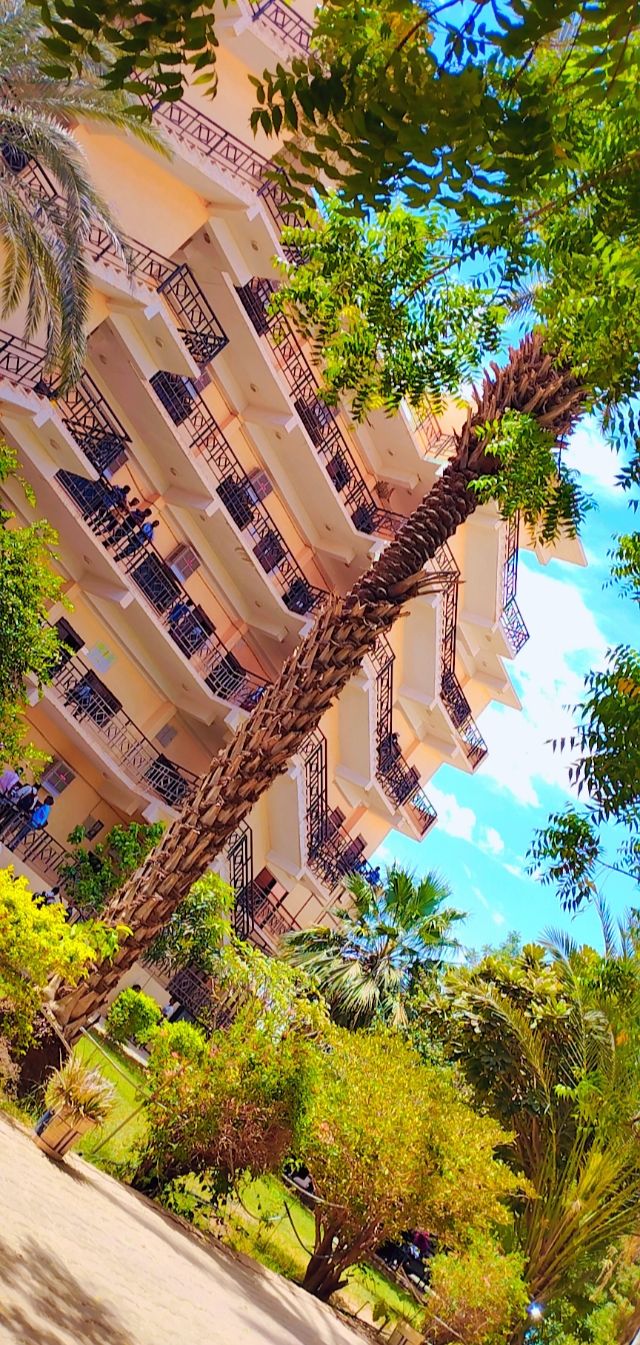 جامعة النصر 3