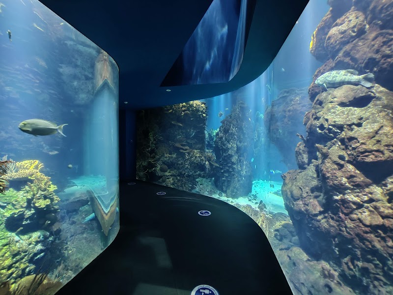 أكواريوم مجبل المطوع