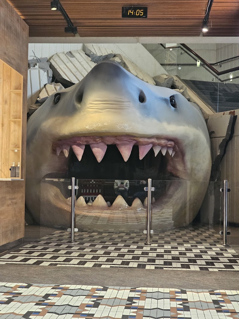 أكواريوم مجبل المطوع 4