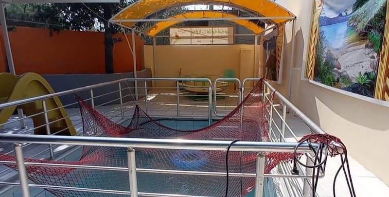 روضة فراشات الربيع 2