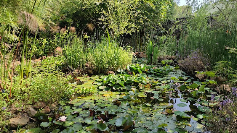 حديقة دونابو