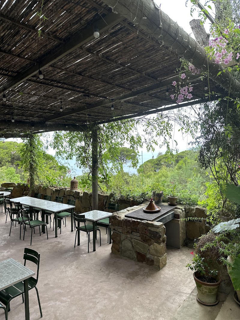 حديقة دونابو 3