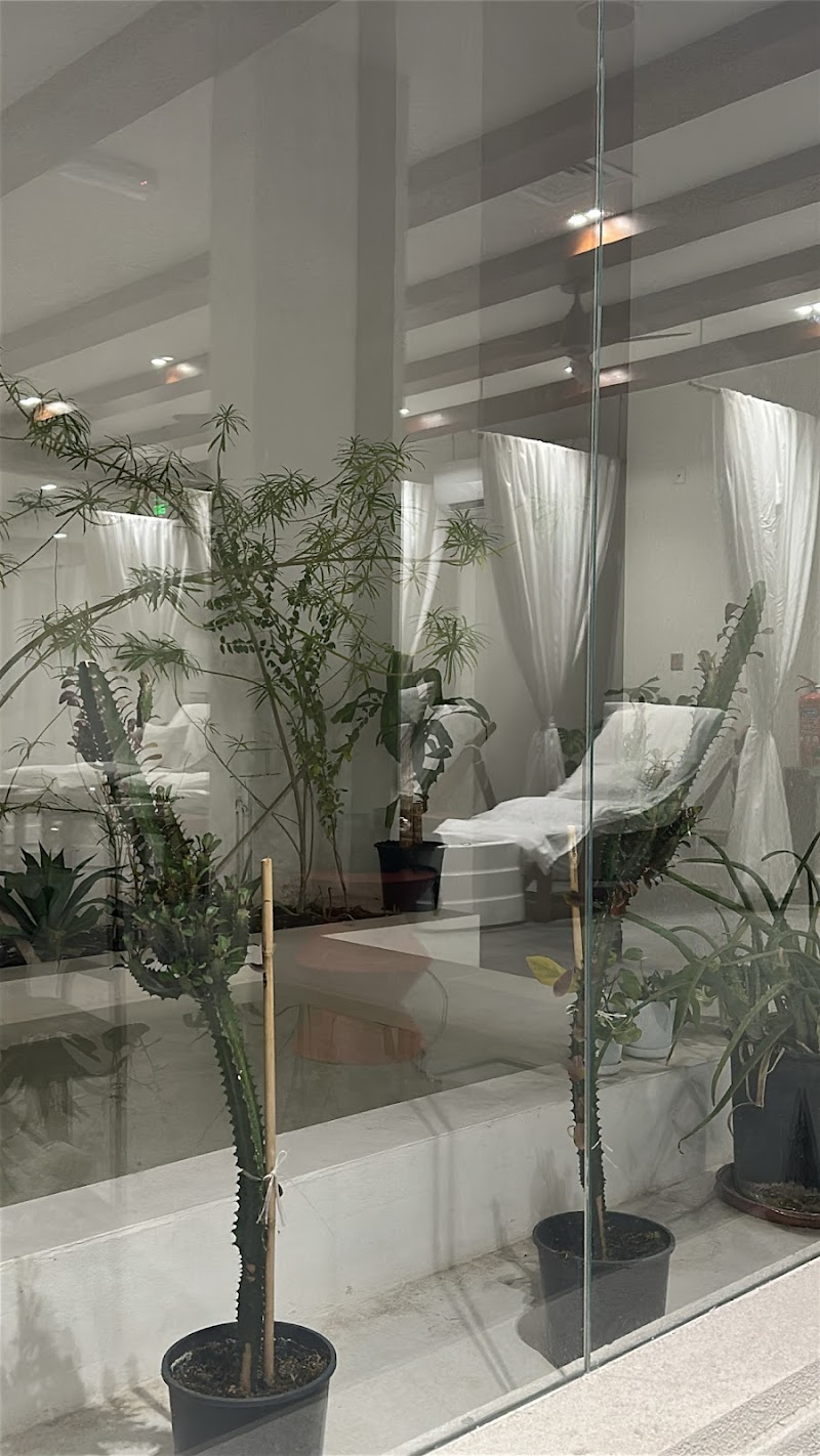 سبا جوز الهند وصالون (دحيل) 3