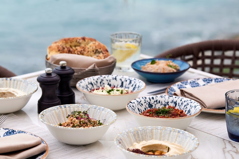 ليفانت أند نار 2