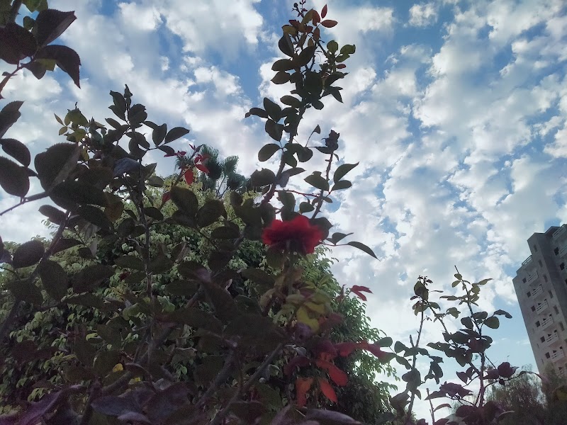 حديقة الغمقة الشرقية 3