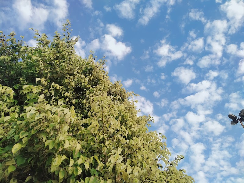 حديقة الغمقة الشرقية 4