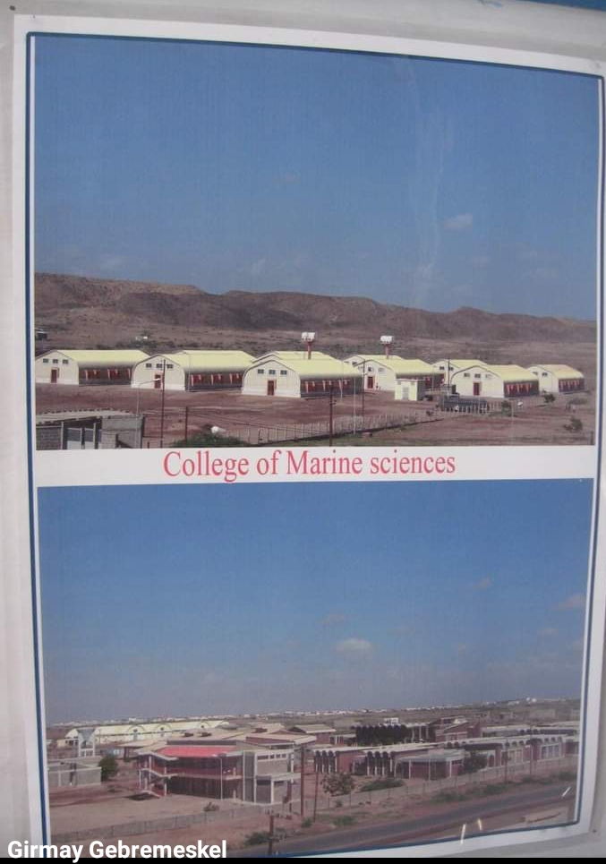 كلية مصوع لعلوم البحار والتكنولوجيا 2