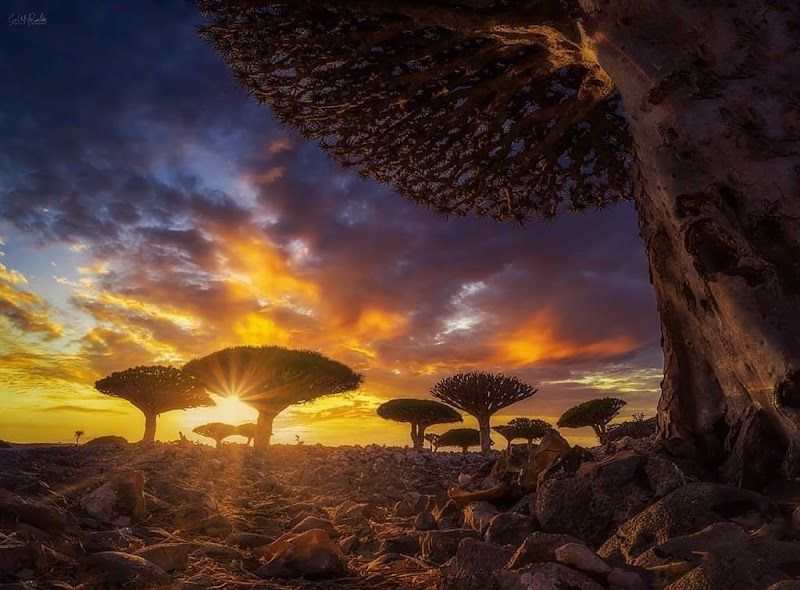 نادي السعادة للرحلات والترفيه