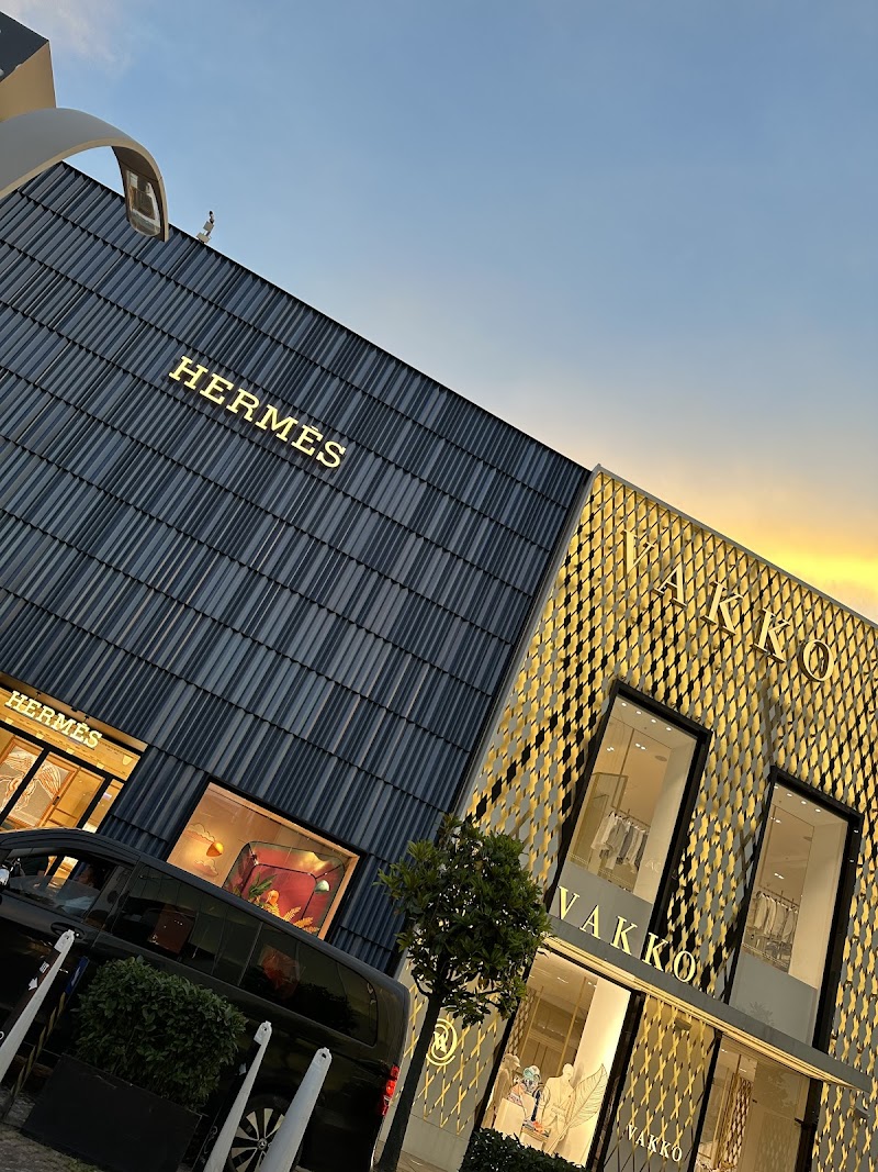 مول استينيا