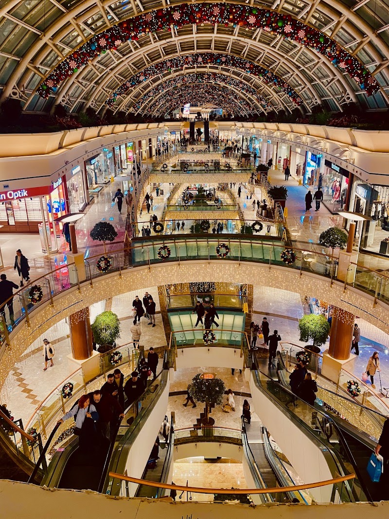 مول استينيا 2