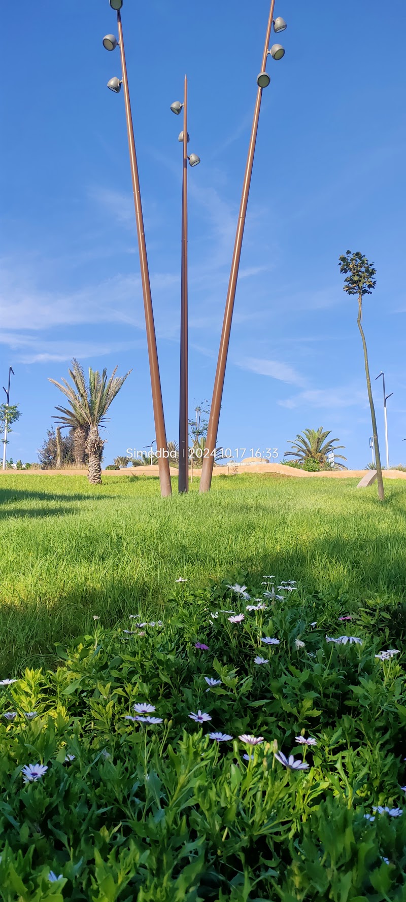 إطلالة بانورامية على حديقة بلفيدير 2