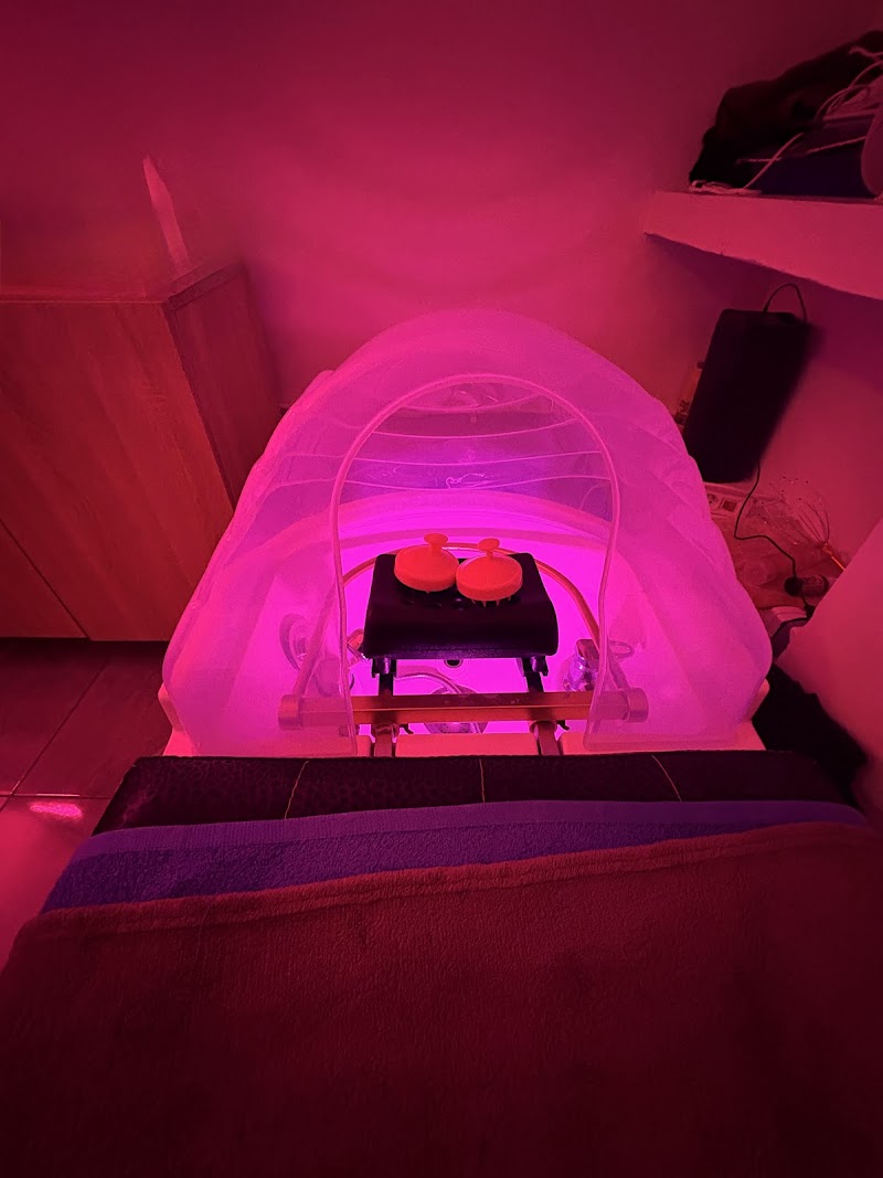 رومى سبا الشعر