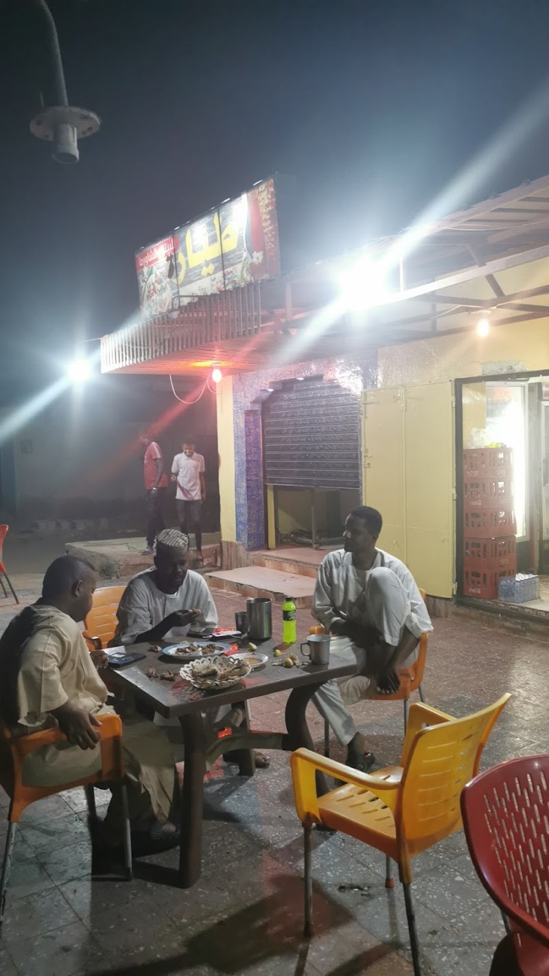 طيارة للأقاشي 2