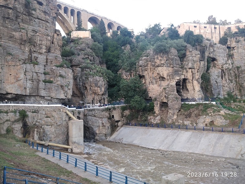 حديقة الباردو